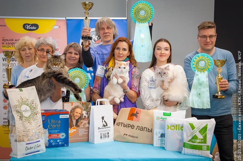 Снежана Жемчуг Невы заняла 3 место на BEST OF BEST на выставке "АЛИСА" 23 марта 2025 г. Поздравляем владельцев Шерпакова Игоря Олеговича и Марию Шерпакову.