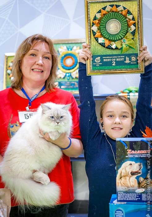 Аляска Жемчуг Невы заняла 2 место на BEST OF BEST на выставке клуба "ЗООМИР" 17-18 октября 2025 г. Поздравляем кошку и её хозяйку Коренную Аллу! Аляска Жемчуг Невы победила на ринге сибиряков на выставке клуба "ЗООМИР" 17-18 октября 2025 г.