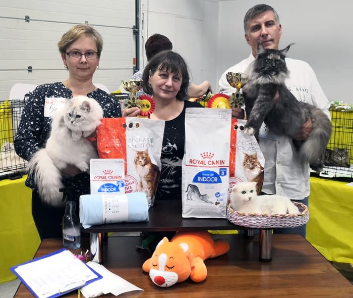 Кокетка Жемчуг Невы на выставке клуба "ФЕЛИС" 12.10.2019 стала Best Opozit Sex Junior и получила Nom Bis оба дня выставки. Кокетка Жемчуг Невы на выставке клуба "ФЕЛИС" 12.10.2019 заняла 6 место WCF-ринге. Кокетка Жемчуг Невы и Земляничка Ж