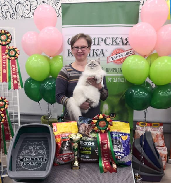 Офелия Жемчуг Невы на выставке "Кубок Москвы - Московская весна" клуба "ОЛСК" 14.03.2020 стала Best Opposite seх. Офелия Жемчуг Невы на выставке "Кубок Москвы - Московская весна" клуба "ОЛСК" 14.03.2020 заняла 10 место на WCF ринге.