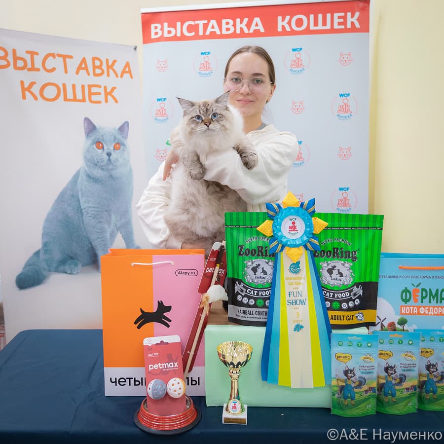 Гремми Жемчуг Невы на выставке клуба "Москва" проходившей 21 -22 октября 2023 года занял 2 место на BEST OF BEST и занял 3 место на Fun Show полудлинношерстной и длинношерстной группы. Поздравляем владелицу кота Ольгу Мороз и кота с победам
