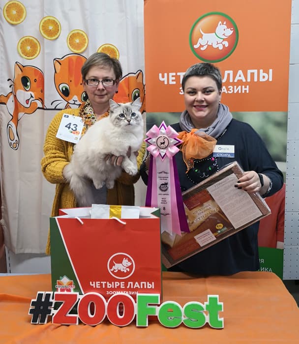 На выставке кошек КЛК "ФРЕЙЯ" 13 января 2019 г. Жасмин Жемчуг Невы заняла 8 место на WCF ринге взрослых.