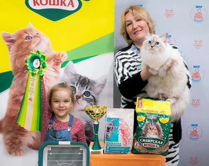 Роксана Дель Браз Жемчуг Невы успешно выступила на выставке клуба "Москва" 16-17 апреля 2022 г. Владелица Коренная Алла. Поздравляем кошку и её хозяйку с многочисленными победами! Роксана Дель Браз Жемчуг Невы стала Best Opposite-seх на выс