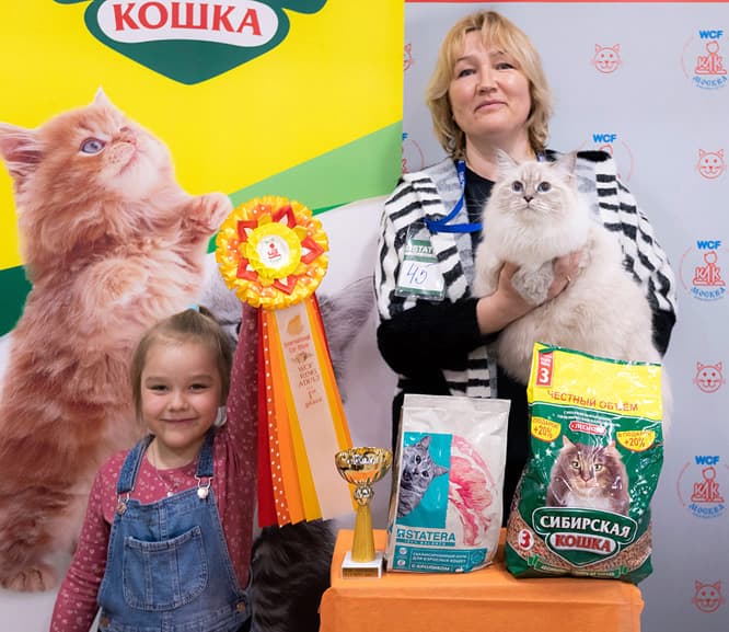 Роксана Дель Браз Жемчуг Невы успешно выступила на выставке клуба "Москва" 16-17 апреля 2022 г. Владелица Коренная Алла. Поздравляем кошку и её хозяйку с многочисленными победами! Роксана Дель Браз Жемчуг Невы стала Best Opposite-seх на выс