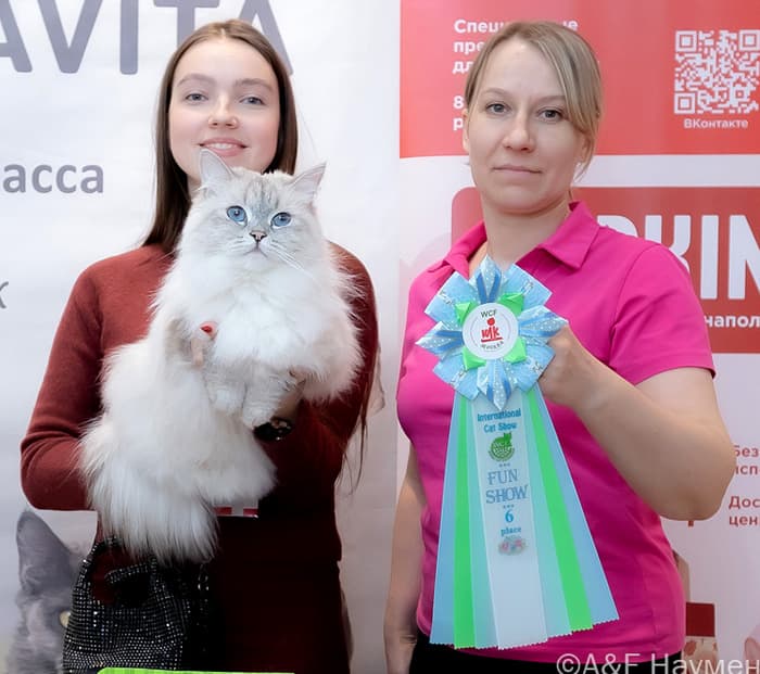 Снежана Жемчуг Невы на выставке кошек КЛК "МОСКВА" заняла 6 место на FUN SHOW на выставке "АЛИСА" 12 апреля 2025 г. Поздравляем владельцев Шерпакова Игоря Олеговича и Марию Шерпакову.